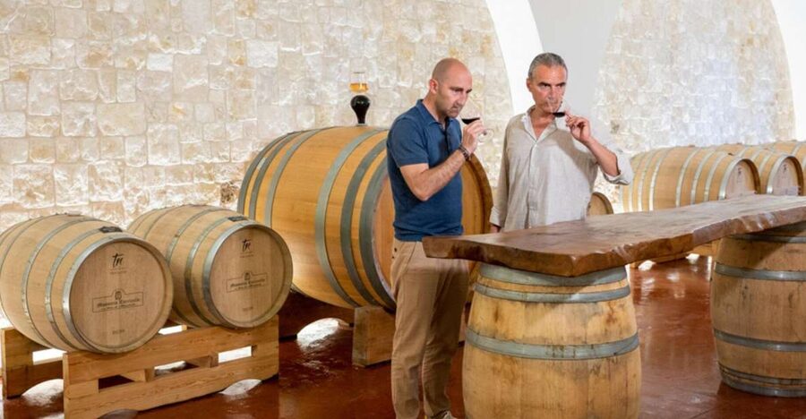 Alberobello: Winery Tour with Wine and Food Tasting - The rosé course with mozzarella and Poverella zucchini