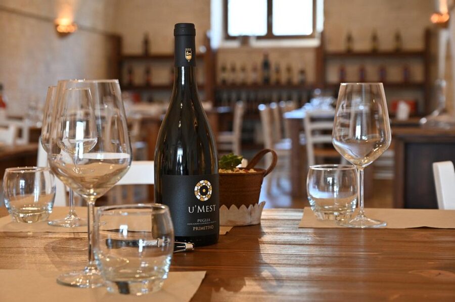 Alberobello: Winery Tour with Wine and Food Tasting - Meeting the guides and learning the local story