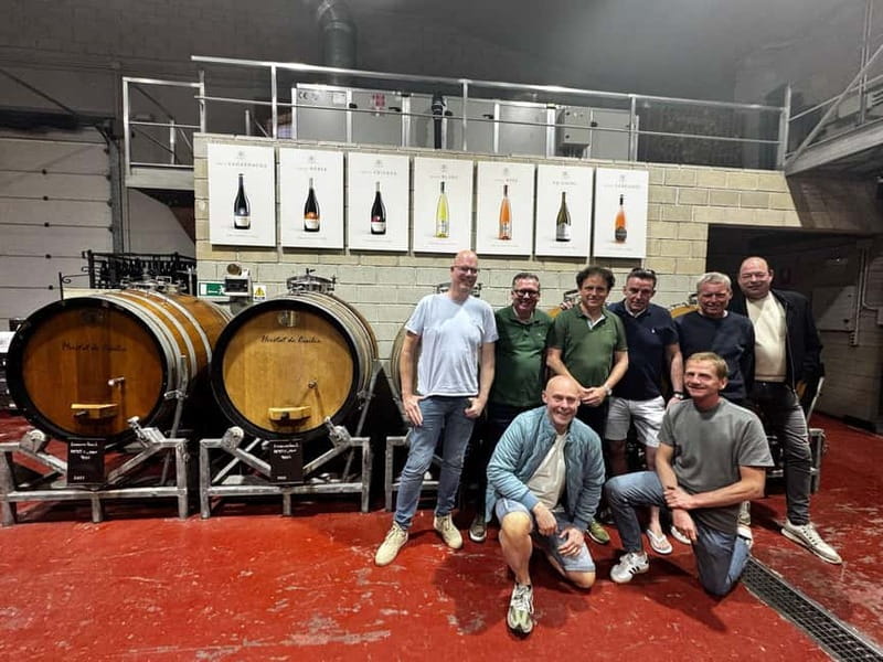 Alicante; Wine Tour, Wineries, Food and Transfer included - Why this Alicante wine trip is worth your afternoon
