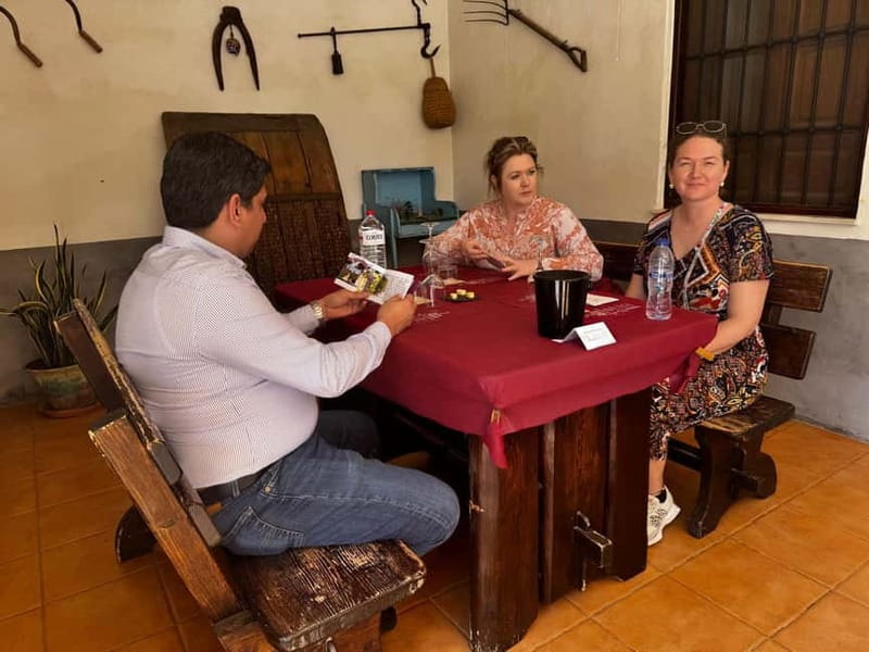 Alicante; Wine Tour, Wineries, Food and Transfer included - The wine selection and Alicante PDO setting