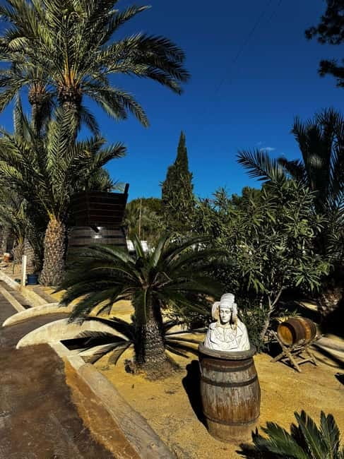Alicante; Wine Tour, Wineries, Food and Transfer included - How the three-hour schedule feels