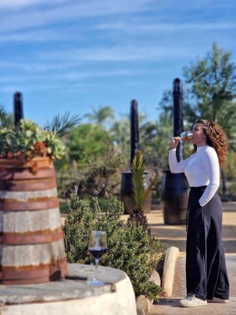 Alicante; Wine Tour, Wineries, Food and Transfer included - Small drawbacks to keep in mind