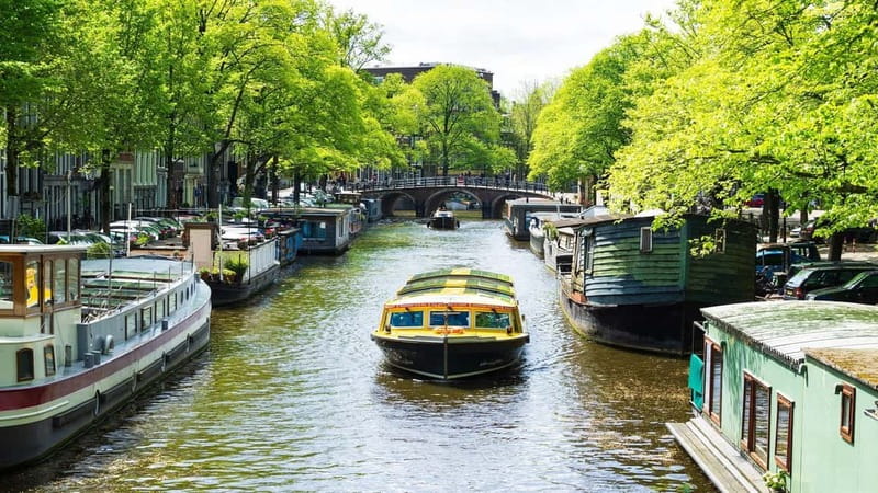 Amsterdam canal cruise with culinary burger or cheese & wine - Who will enjoy this most?