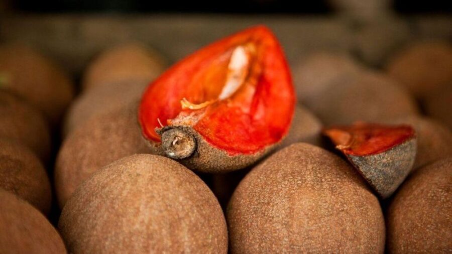 Antigua Guatemala: Street Food Walking Tour with Tastings - Who should book this walk?