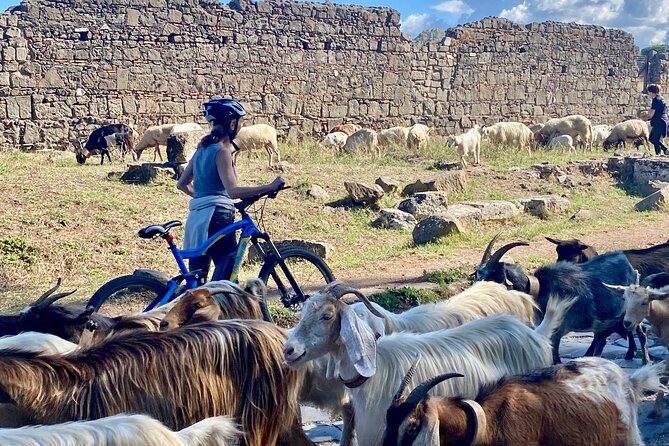 Appian Way & Aqueducts small group e-bike tour(catacombs & food) - What the e-bike ride really feels like