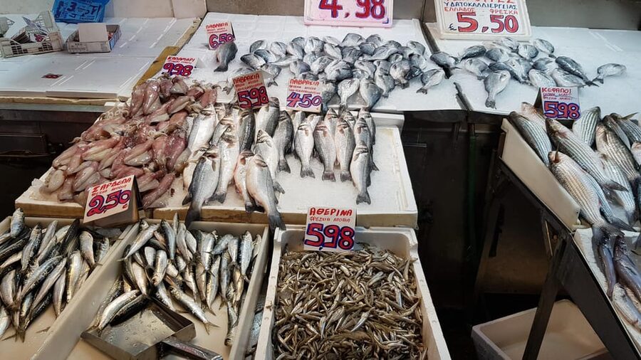Athens: Traditional Greek food tour in hidden spots - How much value do you get for $64?