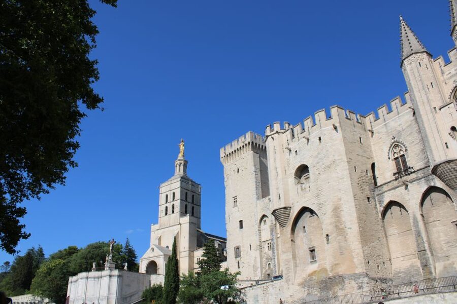 Avignon: Historic District Guided Food & Wine Walking Tour - Rue Carnot, where the old town starts to taste local