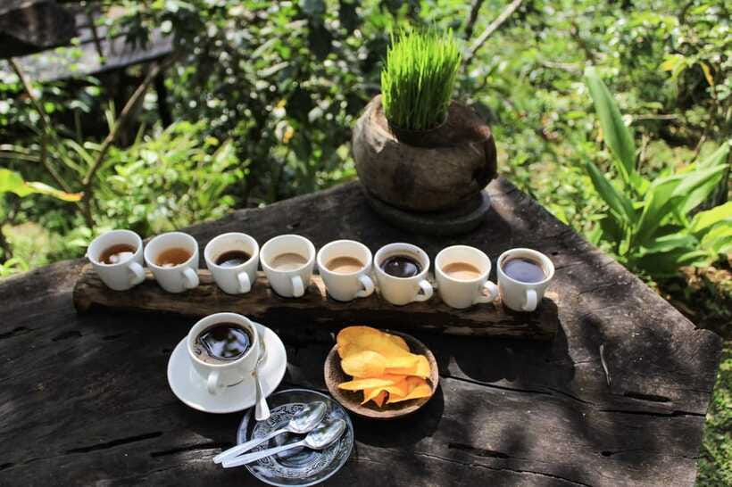 Bali: Authentic Culinary Street Food Experience Tour - Luwak coffee and optional extras