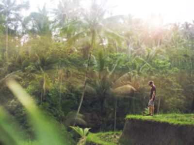 Bali: Full-Day Eat Pray Love Tour with Rice Terraces & Yoga
