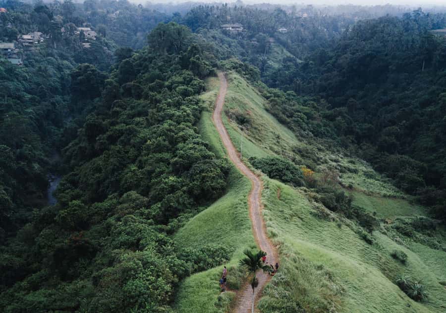 Bali: Full-Day Eat Pray Love Tour with Rice Terraces & Yoga - Transport, pickup, and the traffic problem