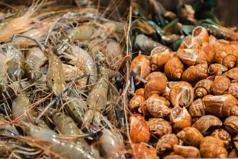 Bangkok: Chinatown Night Food Tour - Key points at a glance