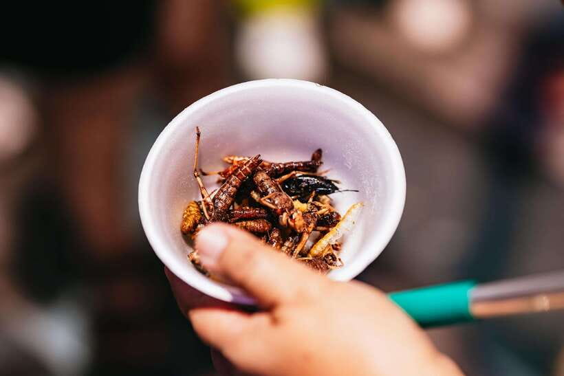 Bangkok: Michelin Guide Street Food Tour by Tuk Tuk - Is the $20 price good value?