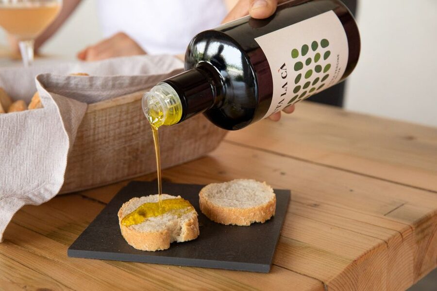 Bardolino: Vineyard Tour with Wine and Food Tasting - Why the guide matters here