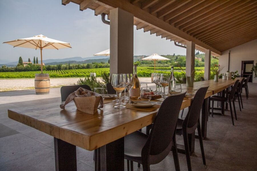 Bardolino: Vineyard Tour with Wine and Food Tasting - Who will enjoy this Bardolino wine tour?