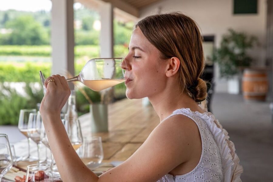 Bardolino: Vineyard Tour with Wine and Food Tasting - Booking details worth knowing