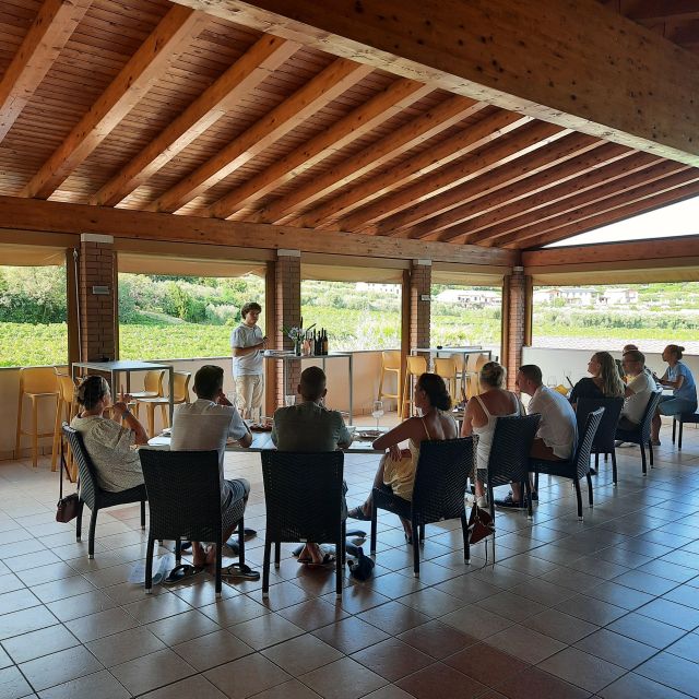 Bardolino: Vineyard Tour with Wine, Olive Oil & Food Tasting - Reaching the family farm above Bardolino