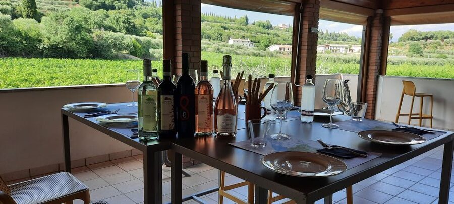 Bardolino: Vineyard Tour with Wine, Olive Oil & Food Tasting - The family story behind Bardolino wine