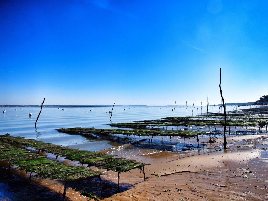 Bay of Arcachon: Guided Food Tour - Stop two: smoked fish with a local point of view