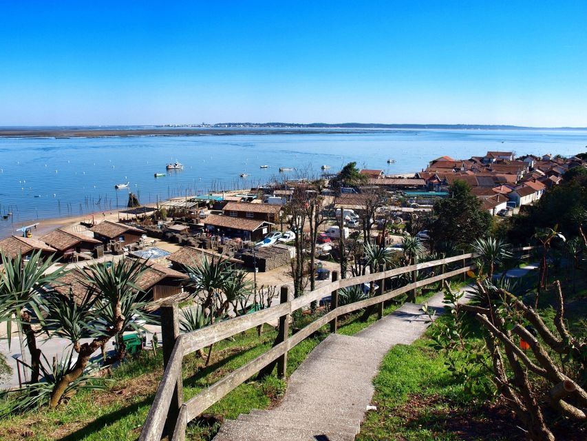 Bay of Arcachon: Guided Food Tour - Stop three: oysters at the farm