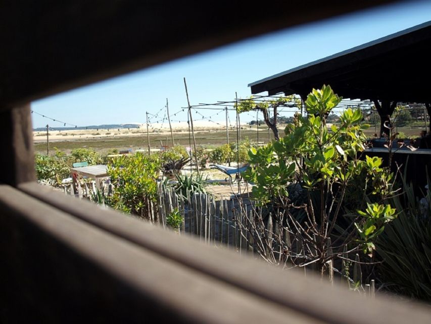 Bay of Arcachon: Guided Food Tour - Cap Ferret or Le Canon and L’Herbe?