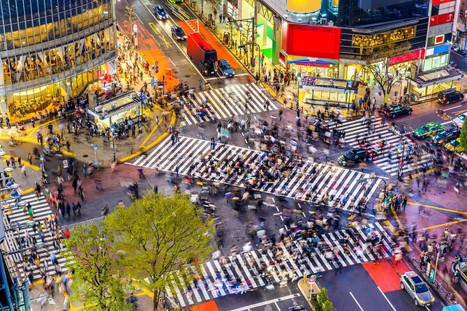 Best of Shibuya Food Tour - Key points to know before booking