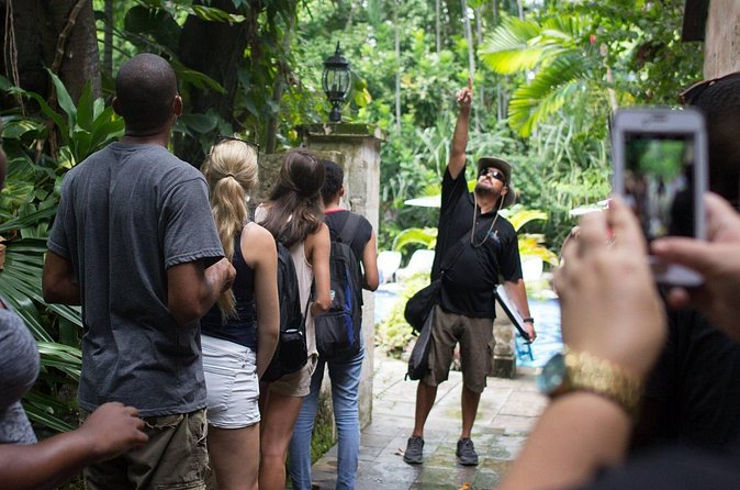 Bites of Nassau Food and Walking Tour - Stories from Princess, Lisa, Pierre, Lelly, and Captain Ron