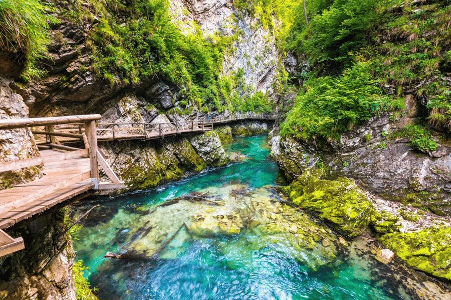 Bled: Vintgar Gorge Best Experience and Food Tasting - Walking the 1.5-hour Vintgar route