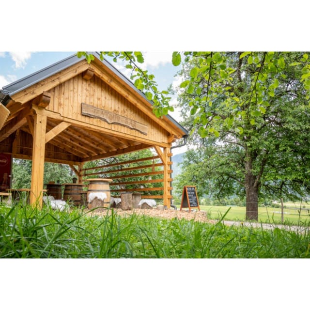 Bled: Vintgar Gorge Best Experience and Food Tasting - Practical tips for a smoother visit