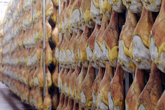 Bologna Food Experience: Factory tours & Family-Style Lunch - The family-style lunch keeps going
