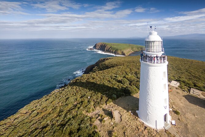 Bruny Island Food, Sightseeing, Guided Lighthouse Tour & Lunch - Key points to know before you book
