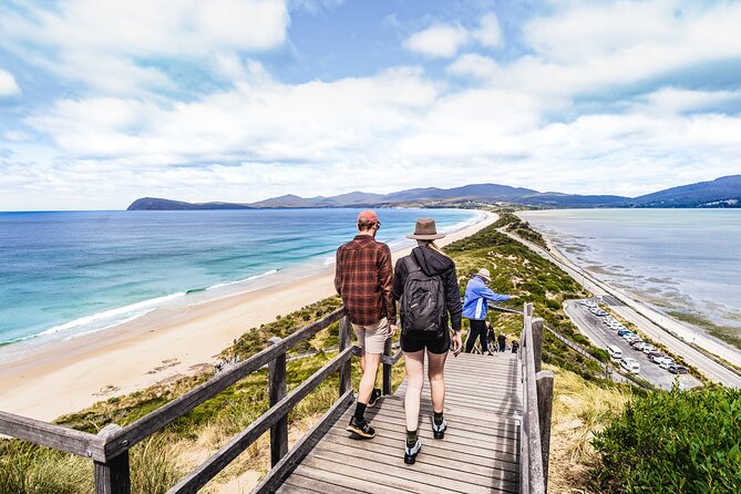Bruny Island Food, Sightseeing, Guided Lighthouse Tour & Lunch - Why this Bruny Island day works so well