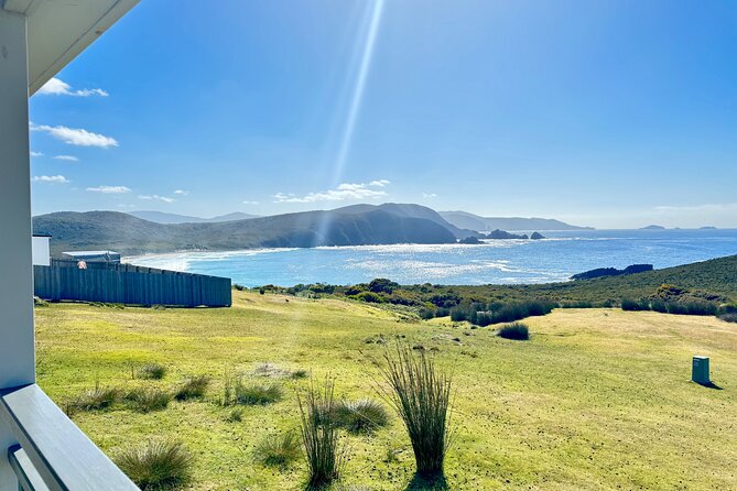 Bruny Island Food, Sightseeing, Guided Lighthouse Tour & Lunch - Morning tea with oysters, bread and cheese
