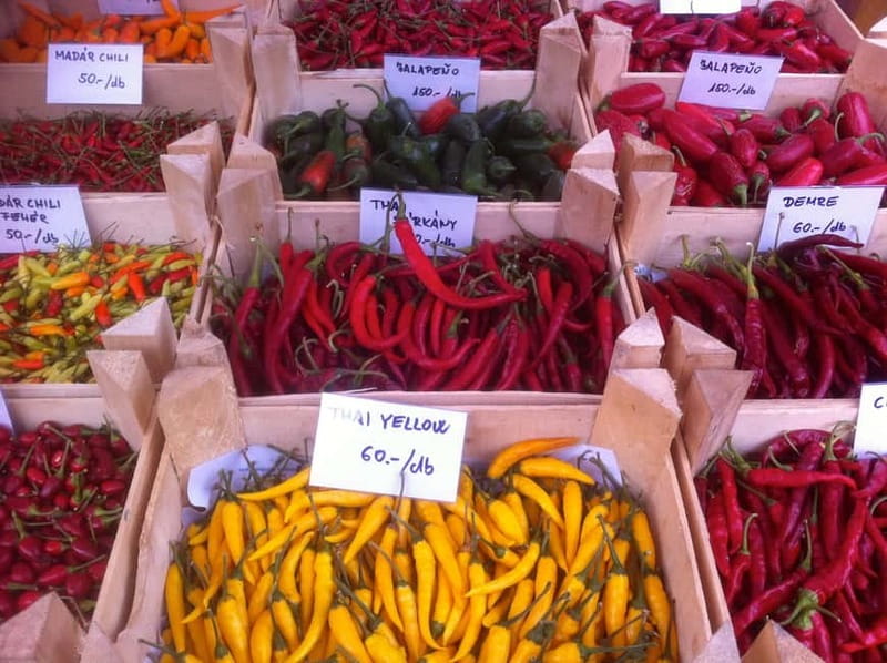 Budapest Culinary & Wine Walk—Budapest’s Signature Food Tour - Why the Central Market Hall is the right starting point