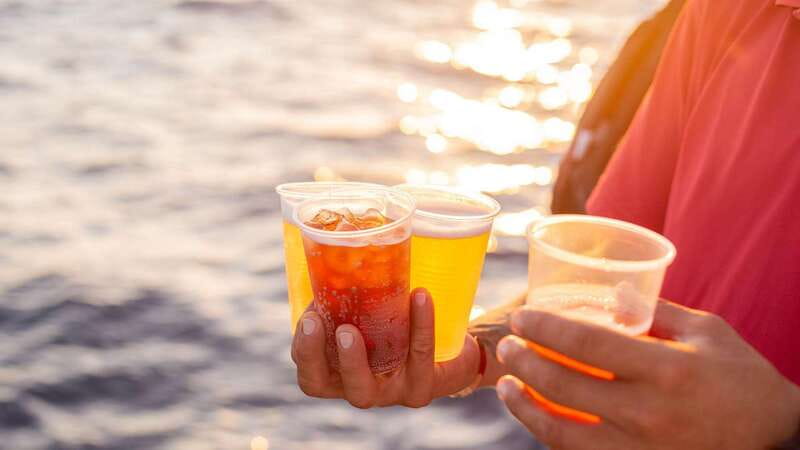 Cabo San Lucas: 2 Hour Sunset Cruise with Food and Wine - The Arch and Lover’s Beach From the Pacific