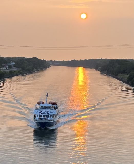 Cape May: Sunset Dolphin Watching Cruise with Food - Watching Cape May change from shore to water