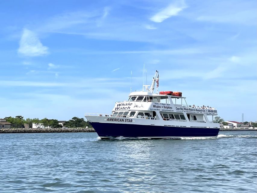 Cape May: Sunset Dolphin Watching Cruise with Food - Sunset, food, and a family-friendly pace