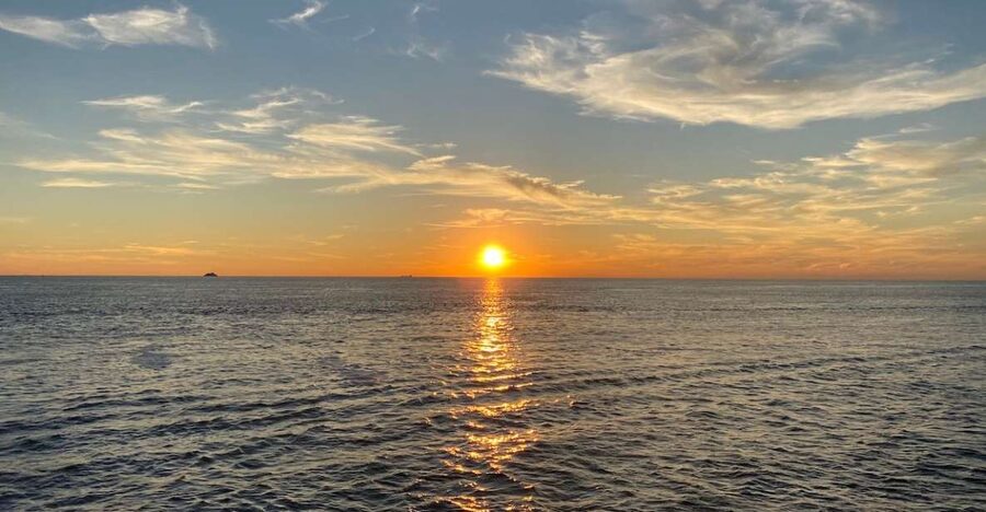 Cape May: Sunset Dolphin Watching Cruise with Food - How much value do you get for $40?