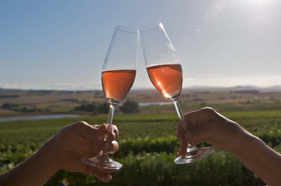 Cape Town: Full-Day Winelands Tour with Wine Tastings & Food - Key points to know before you book