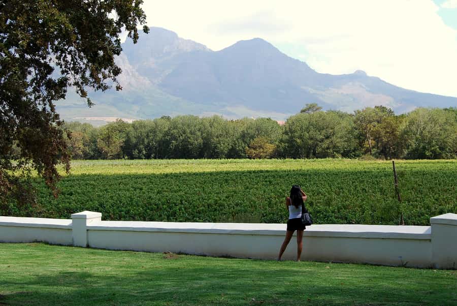 Cape Town: Full-Day Winelands Tour with Wine Tastings & Food - Why four estates make sense in one day
