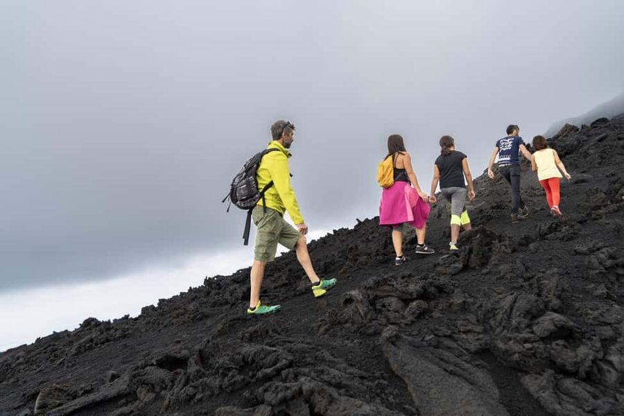 Catania: Guided Tour of Etna with Farm Visit & Food Tasting - Why this Etna day works so well