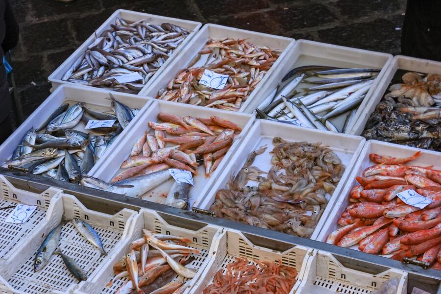 Catania: Street Food Guided Walking Tour - Around the Cathedral and the Fish Market