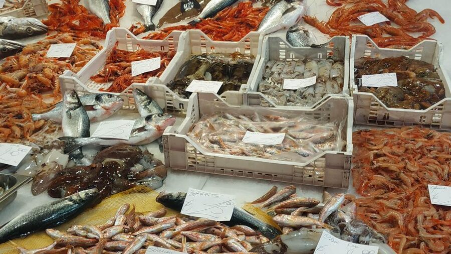 Catania Street Food Tour: Fish Market & City Centre - Starting at Piazza Duomo beside the Elephant Fountain