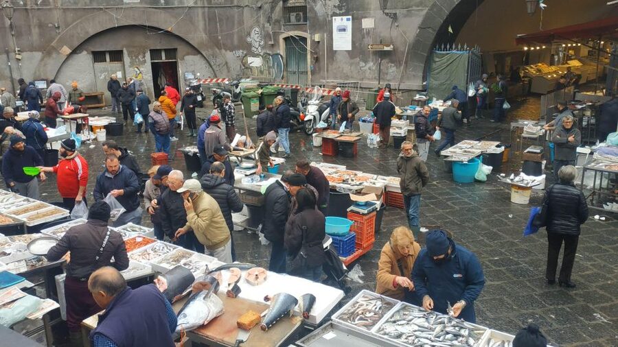 Catania Street Food Tour: Fish Market & City Centre - Arancini, fried fish and the main savoury stops
