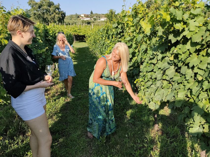 Cavaion: Lake Garda Wine & Food Tasting with Vineyard Tour - A quiet vineyard experience near Lake Garda