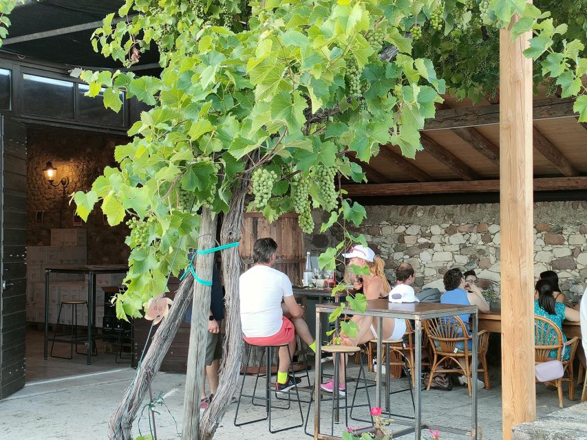 Cavaion: Lake Garda Wine & Food Tasting with Vineyard Tour - Under the grape arbor with a glass in hand