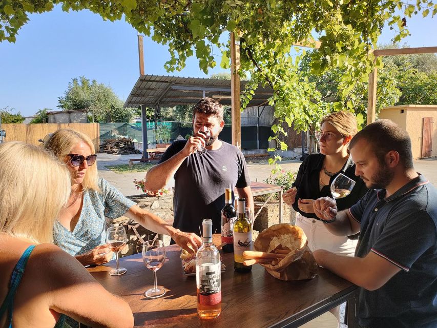 Cavaion: Lake Garda Wine & Food Tasting with Vineyard Tour - Is $41 a fair price?