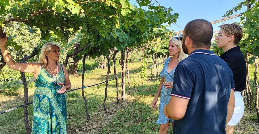 Cavaion: Lake Garda Wine & Food Tasting with Vineyard Tour - Walking the vines and learning the farm’s methods