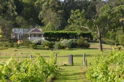 Chef-Led Hunter Valley Gourmet Food and Wine Day Tour from Sydney