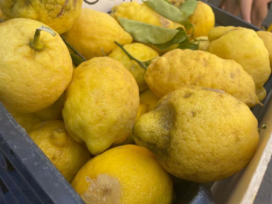 Civitavecchia: Historical and Culinary Walking Tour - The market is the tour’s sensory center