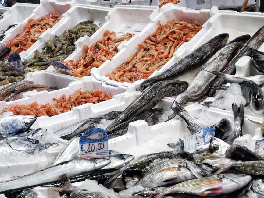 Civitavecchia: Historical and Culinary Walking Tour - Walking pace, comfort, and practical limits